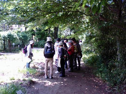 mMA340001.jpg