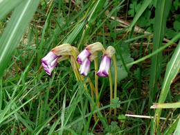 mP1120325.jpg