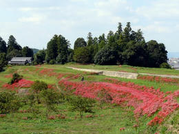 sP1130147.jpg