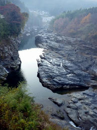 sP1000761.jpg