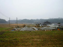 s-P1000867.jpg