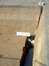s-P1000890.jpg