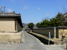 s-P1140857.jpg