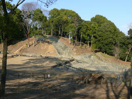 s-P1150050.jpg