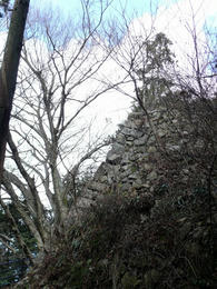 s-P1140609.jpg
