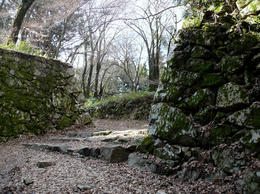 s-P1140622.jpg