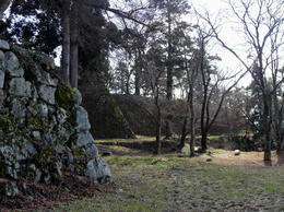 s-P1140635.jpg