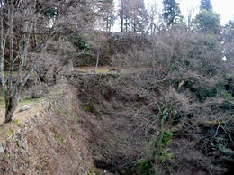 s-P1140641.jpg