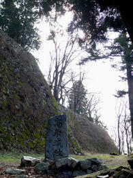 s-P1140646.jpg