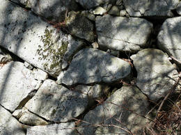 s-P1140672.jpg