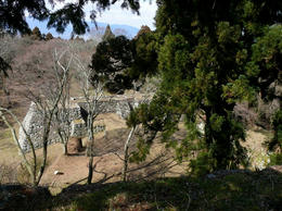 s-P1140677.jpg