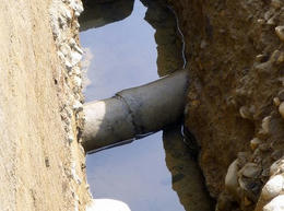 s-P1010053.jpg