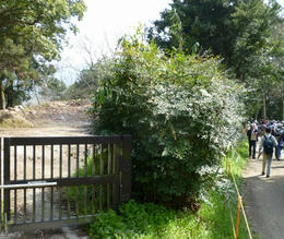 s-P1010136.jpg