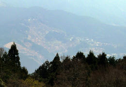 s-P1150411.jpg