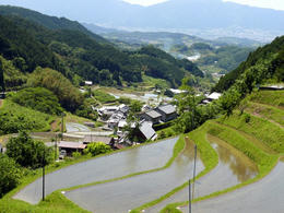 s-P1150941.jpg