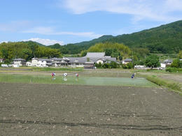 s-P1160014.jpg