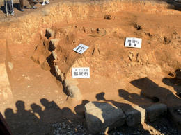 sP1160635.jpg
