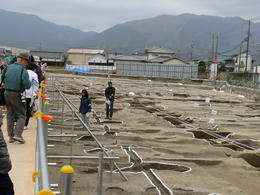 sP1160767.jpg