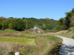 sP1160859.jpg