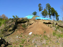 sP1160862.jpg