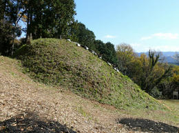 sP1160879.jpg
