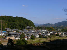 sP1160900.jpg