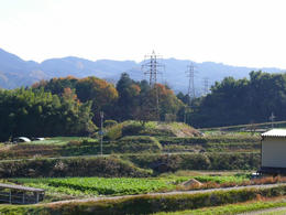 sP1160905.jpg