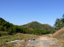 sP1160886.jpg