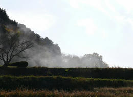 sP1160960.jpg