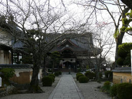 sP1160965.jpg