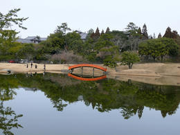 sP1170081.jpg