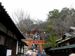 sP1170088.jpg