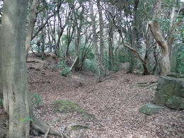 sP1170095.jpg