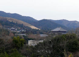 sP1170120.jpg