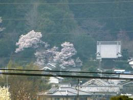 sP1000077.jpg