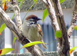sP1000127.jpg