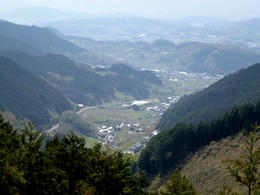 sP1000153.jpg