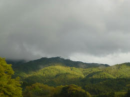 sP1000184.jpg