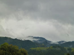 sP1000191.jpg