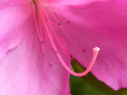 sP1000362.jpg