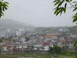 ssP1000369.jpg