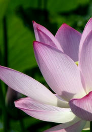 sP1000593-1.jpg
