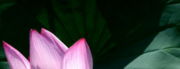 sP1000601-2.jpg