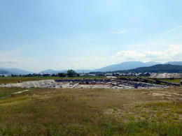 sP1000614.jpg