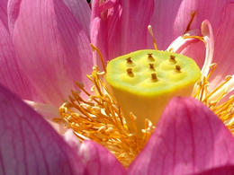 sP1000640.jpg