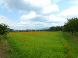 mP1000679.jpg