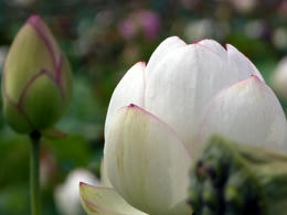 mP1000689.jpg