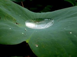 mP1000714.jpg