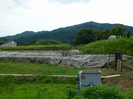mmP1000811.jpg
