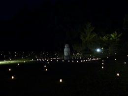 aP1000924.jpg